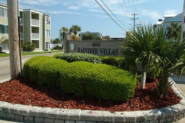 img5cc6fc43b2951 img5cc6fc43b2951